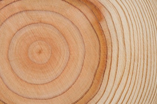 Hur lång är livstiden på träbänkskivan?