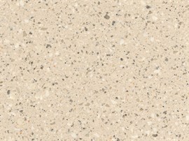 Fossil Corian