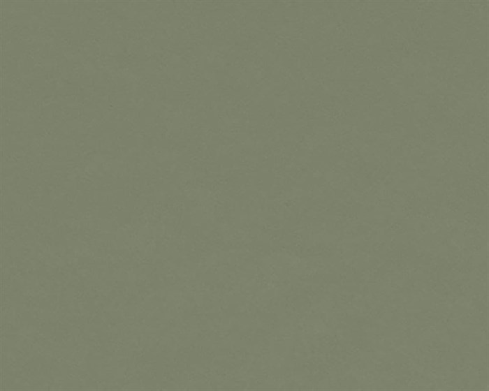 Olive 4184 Linoleum